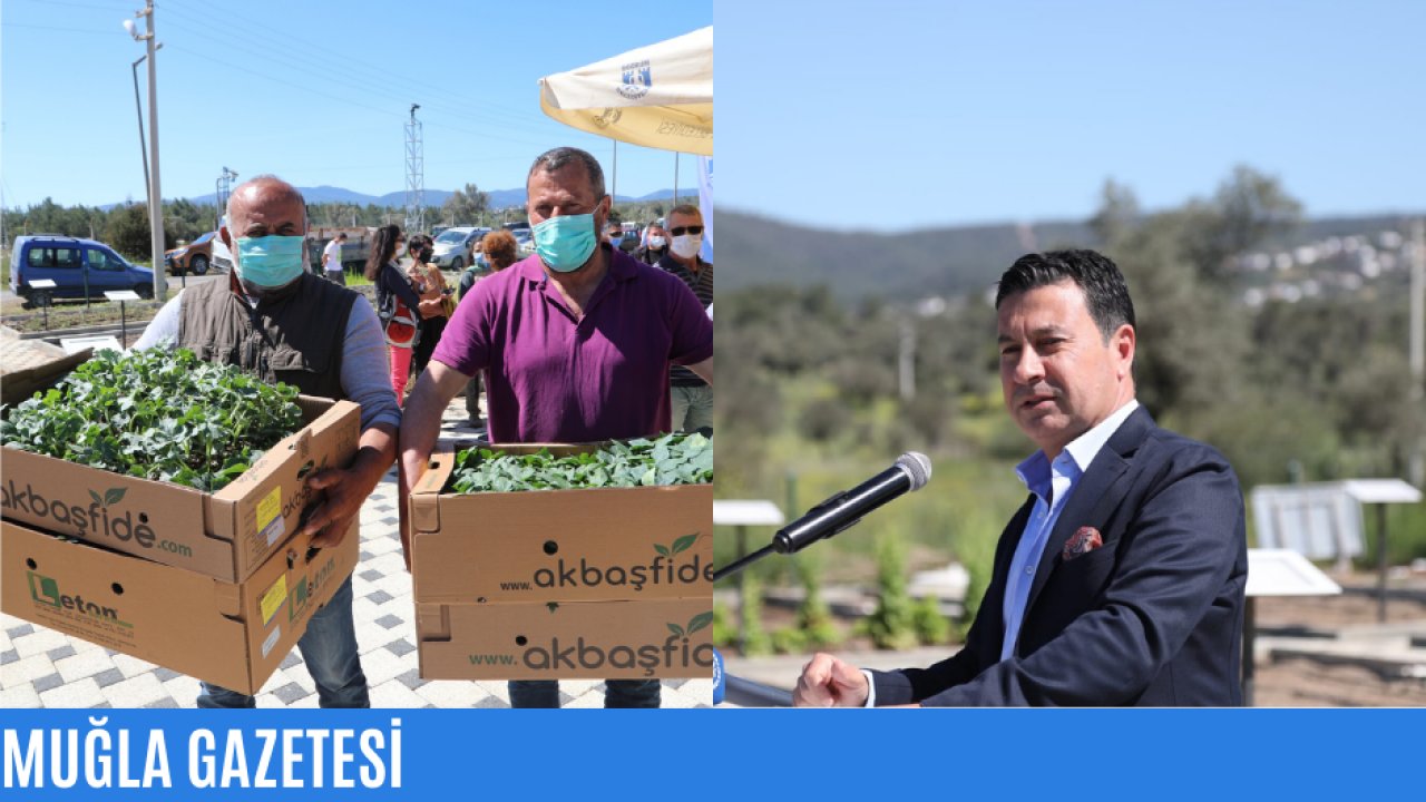 154 bin yazlık fide üreticilere hibe edildi