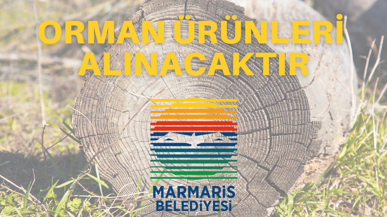 Orman ürünleri alınacaktır