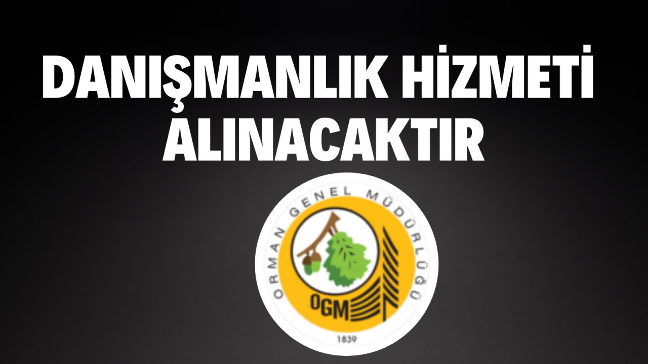 Danışmanlık hizmeti alınacaktır