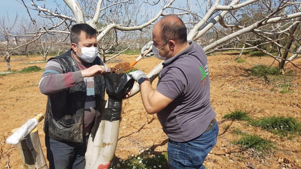 Kırsal mahallelerde halk eğitim kursları açılıyor