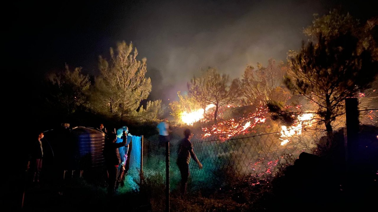 Orman yangını söndürüldü