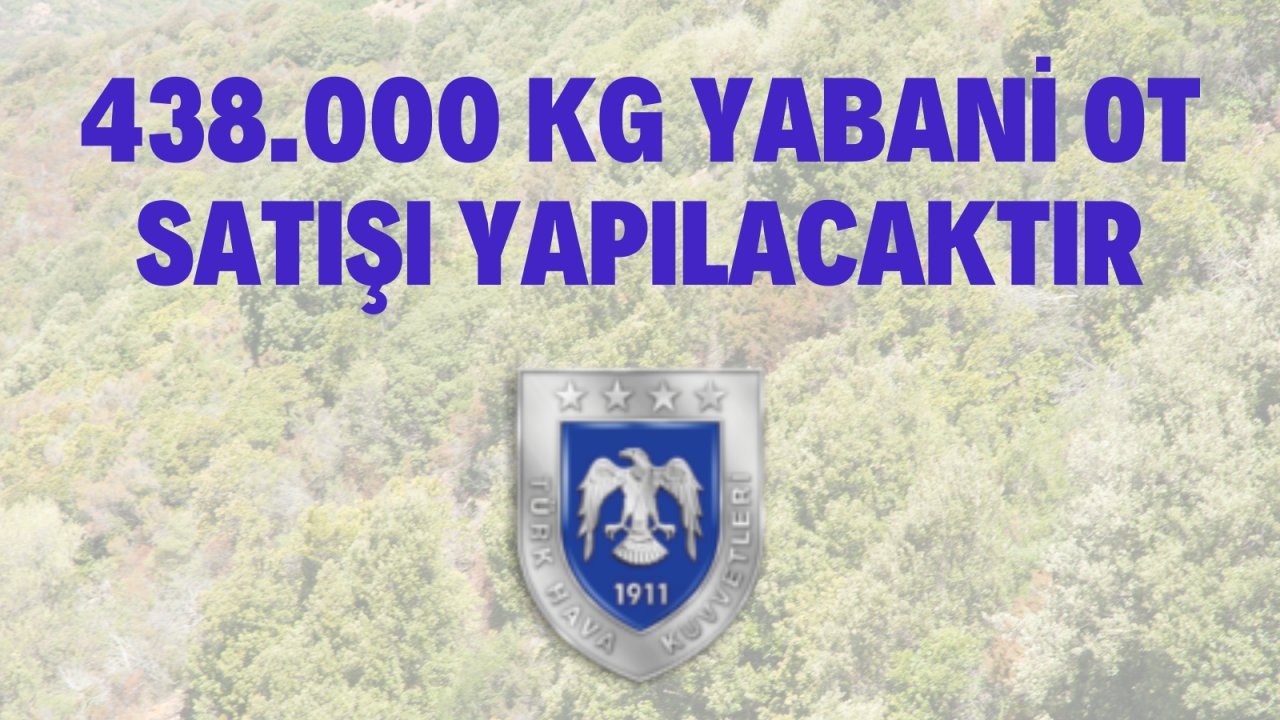 438.000 kg yabani ot satışı yapılacaktır