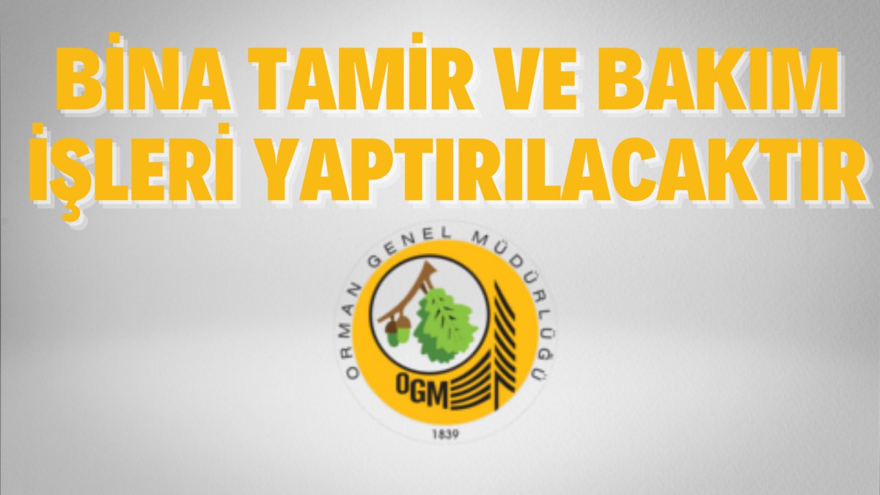 Bina tamir ve bakım işleri yaptırılacaktır