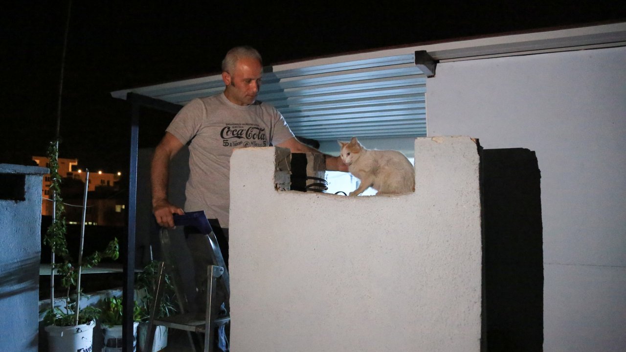 Apartmanın bacasında mahsur kalan kedi yavruları kurtarıldı