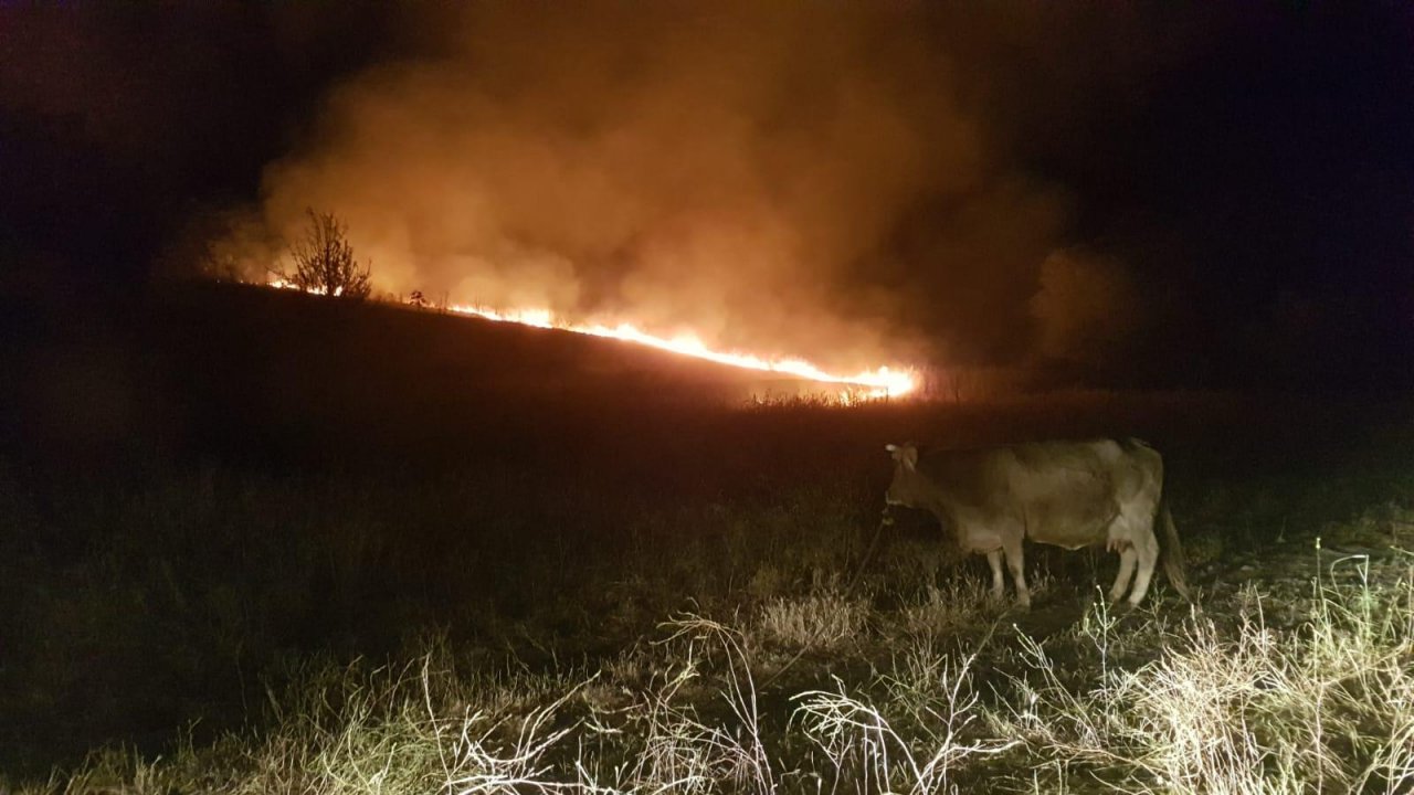 Makilik ve otluk alanda çıkan yangın söndürüldü