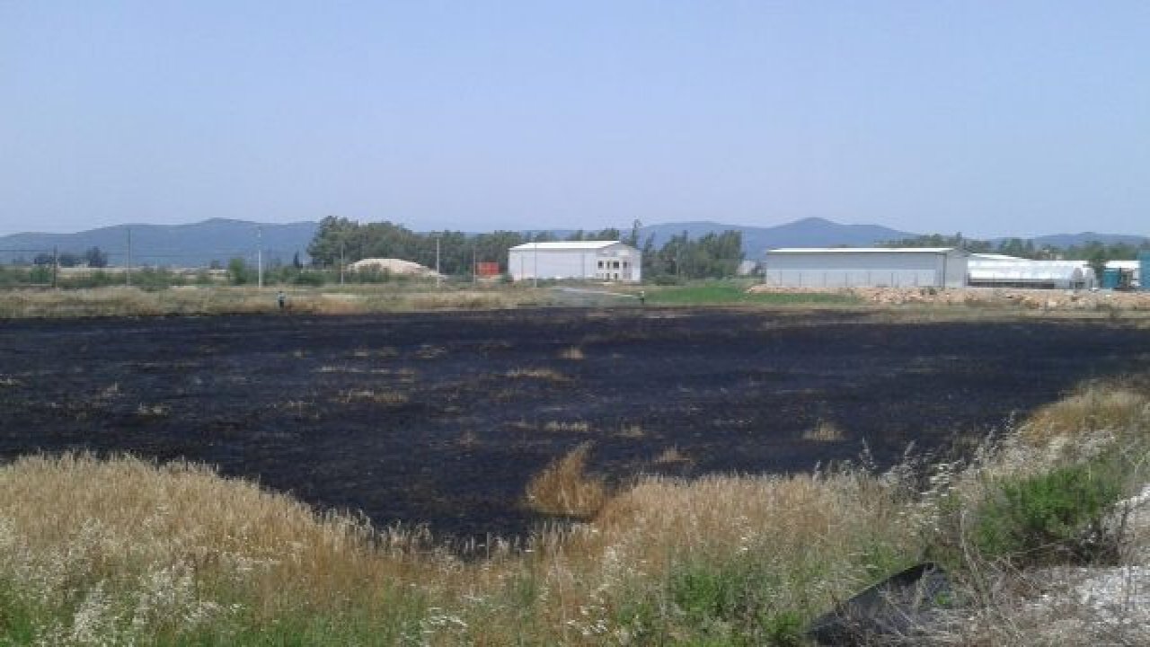 Arpa tarlası yandı