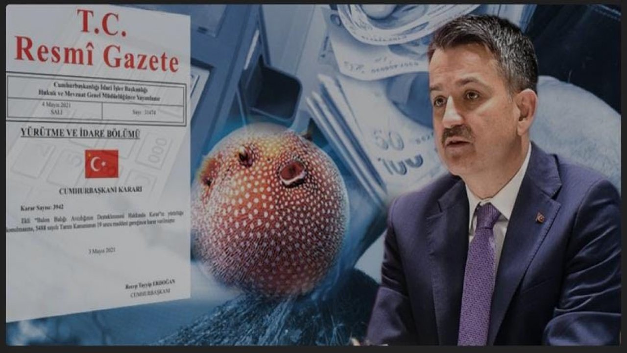 Balon balığı av teşviği Resmi Gazete’de