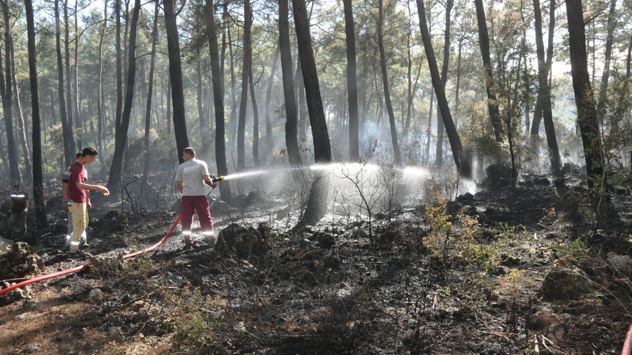 Ortaca'da orman yangını