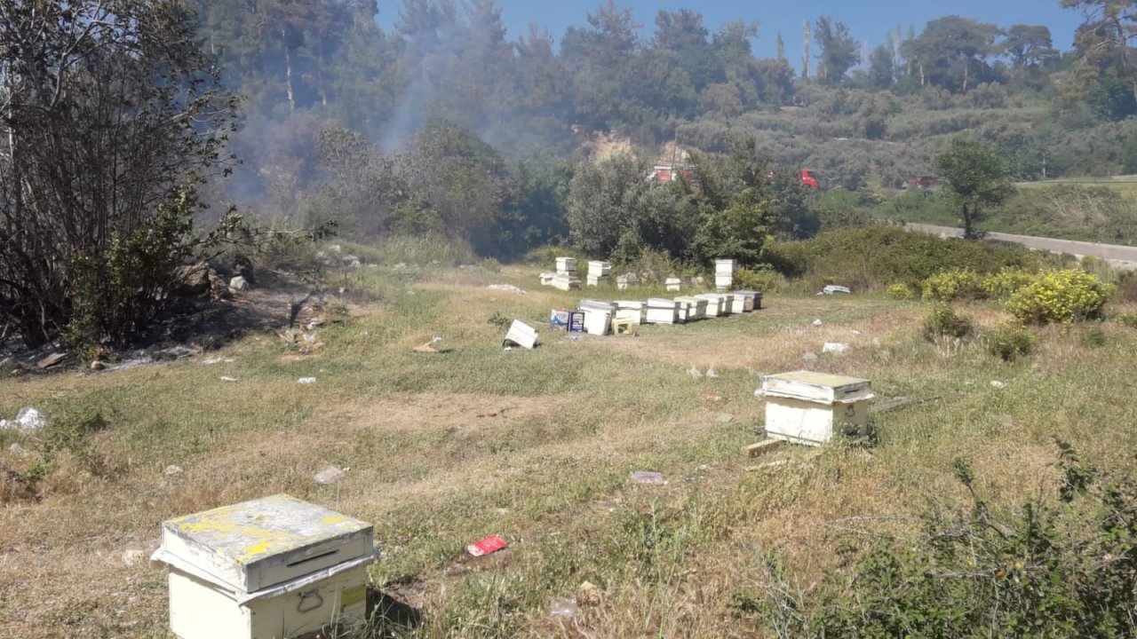 Zeytin bahçesinde çıkan yangın söndürüldü