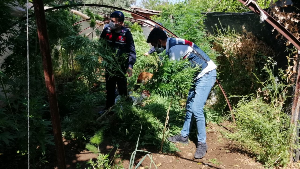 Uyuşturucu operasyonunda 3 şüpheli yakalandı