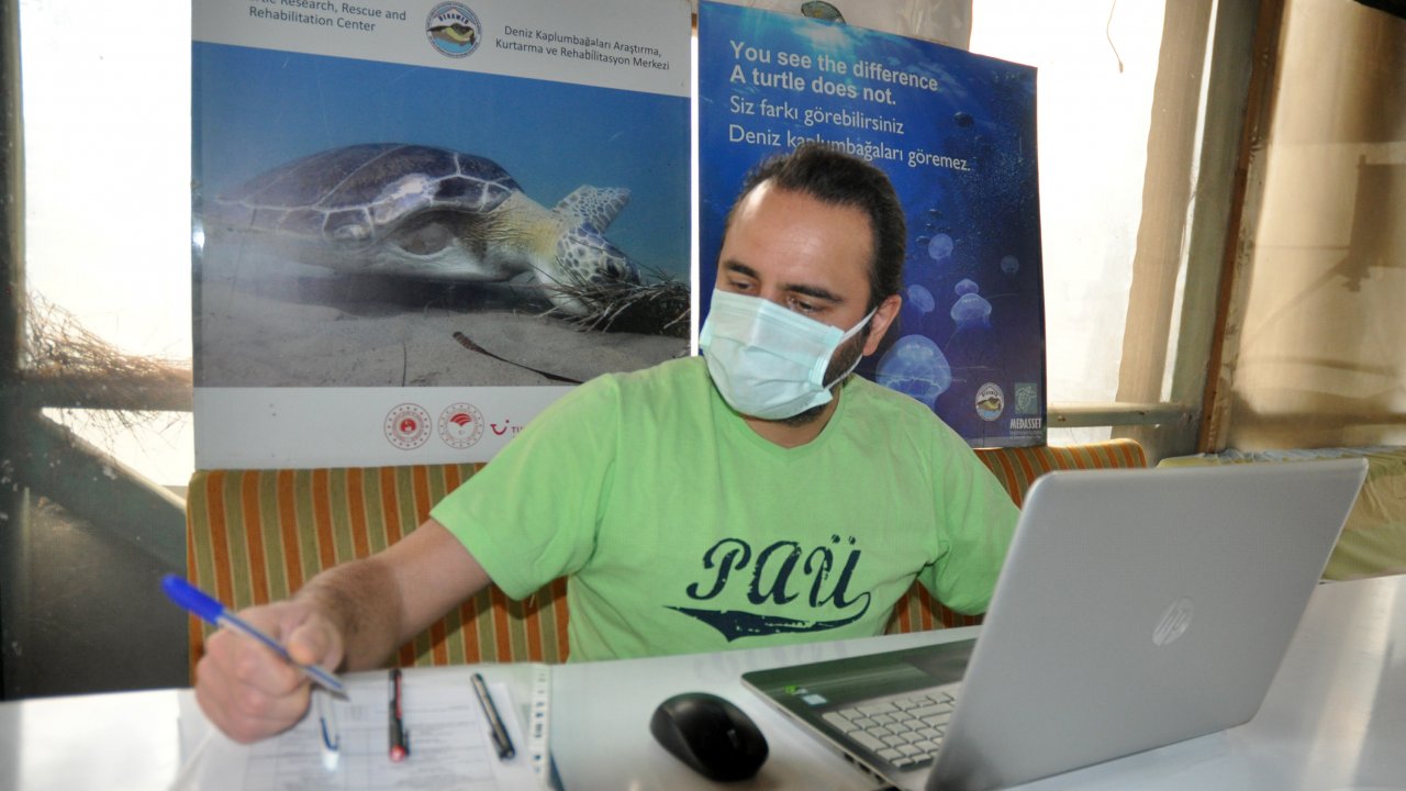 Caretta Tuba yaklaşık iki yılda 10 bin kilometre yol aldı