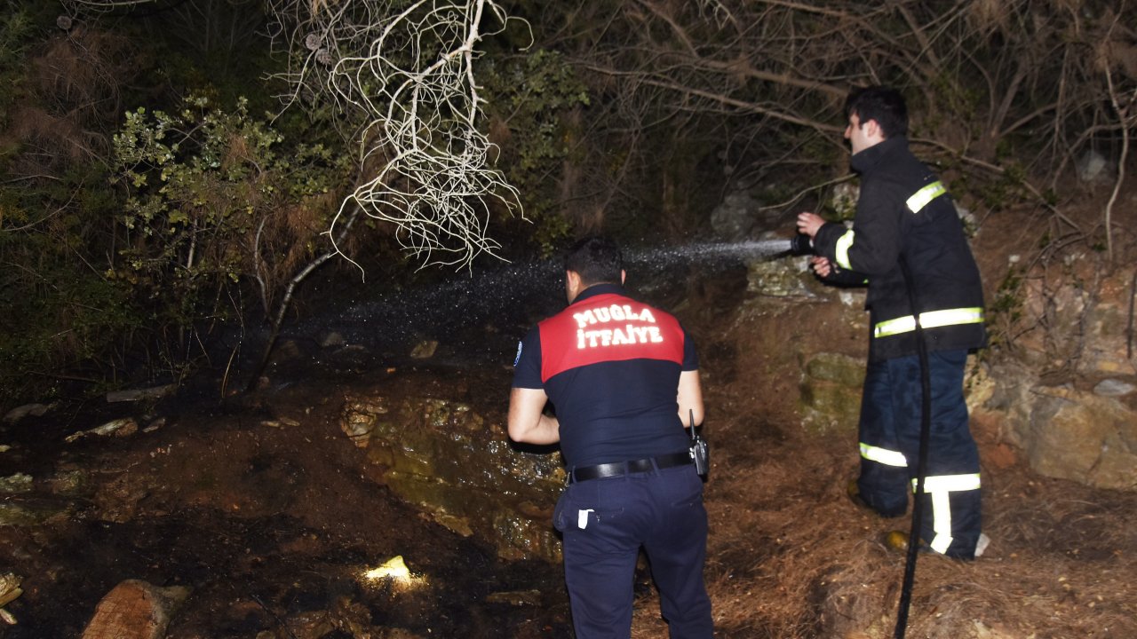 Bodrum'da zabıtanın fark ettiği orman yangını söndürüldü