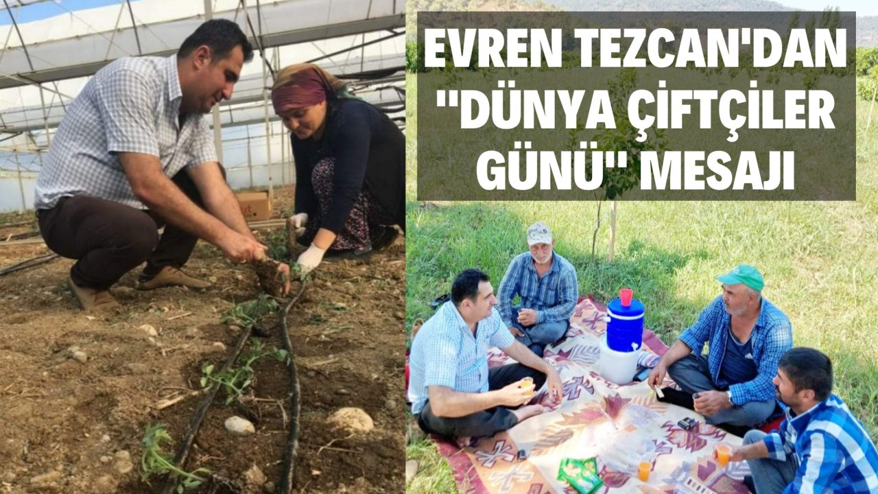 Evren Tezcan'dan 