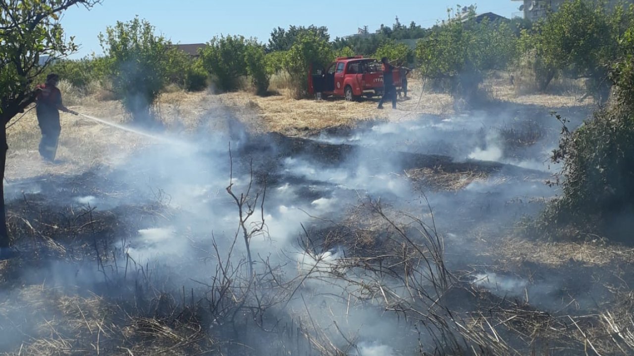 Fethiye'de çıkan yangında limon ağaçları zarar gördü