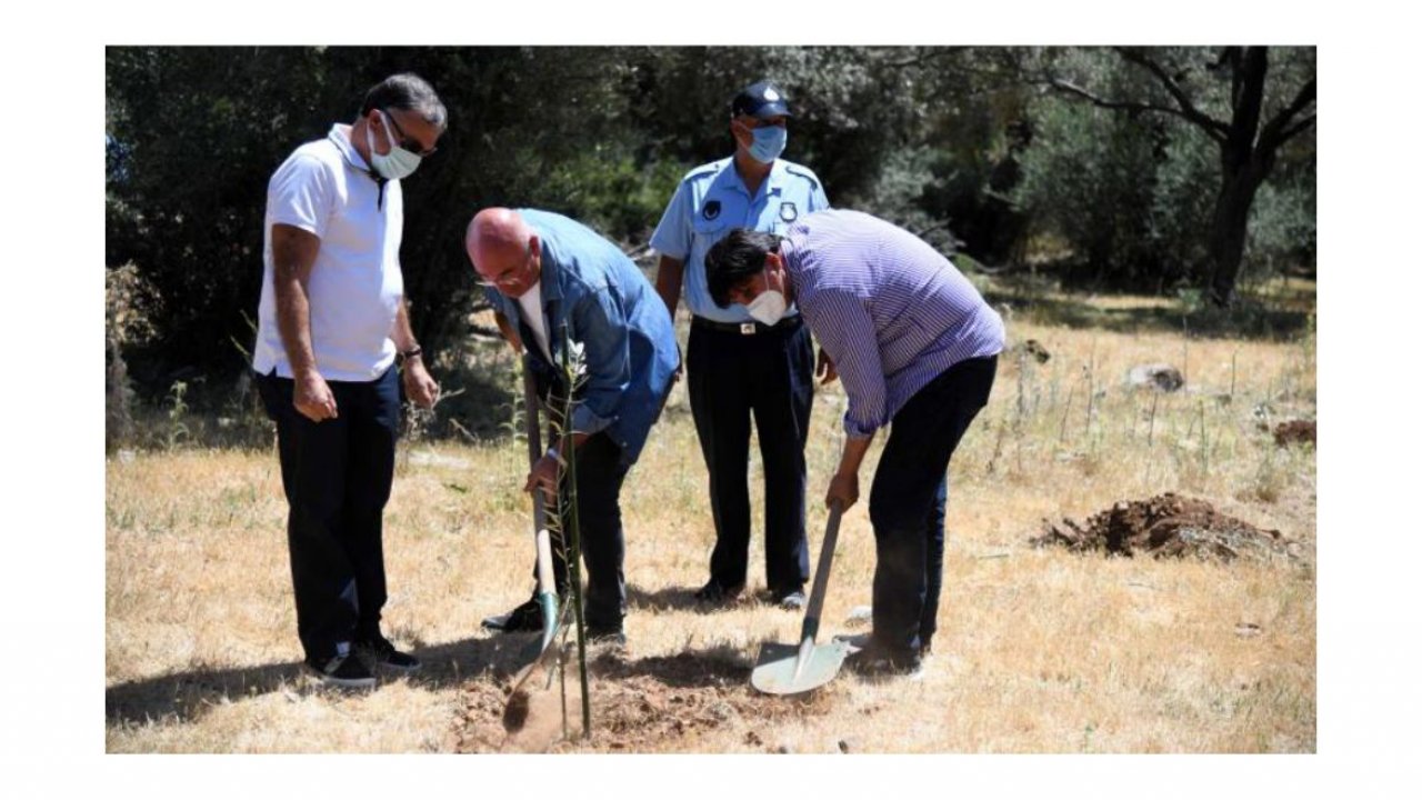 Bizim Bahçe projesi fidan dikimiyle sürüyor