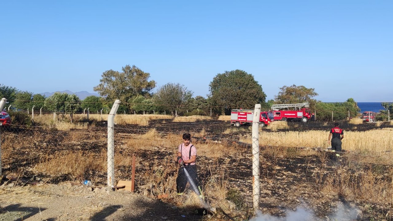 Yangında 17 dönüm alan zarar gördü