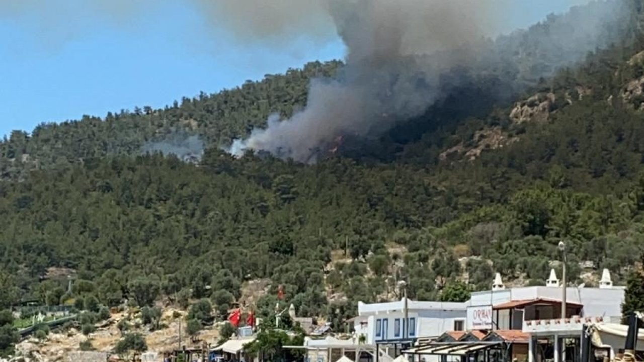 ÇÖKERTME KOYU’NDA ORMAN YANGINI