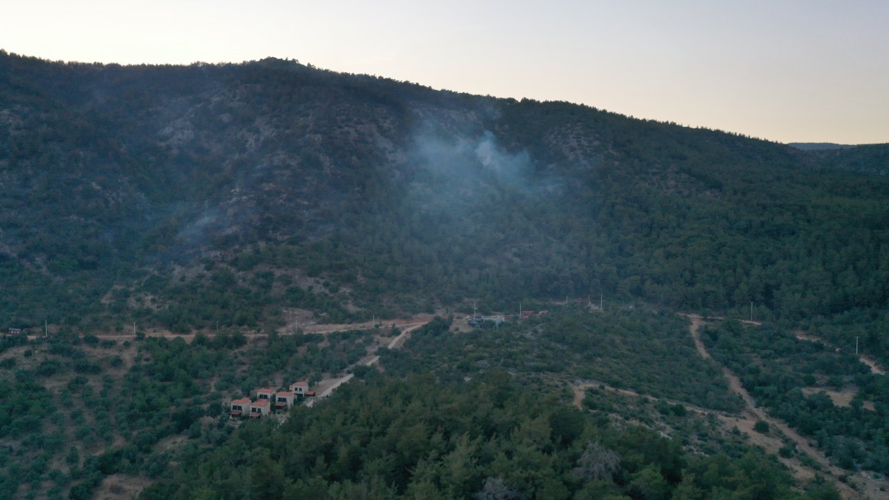 Ormanlık alandaki yangın kontrol altına alındı