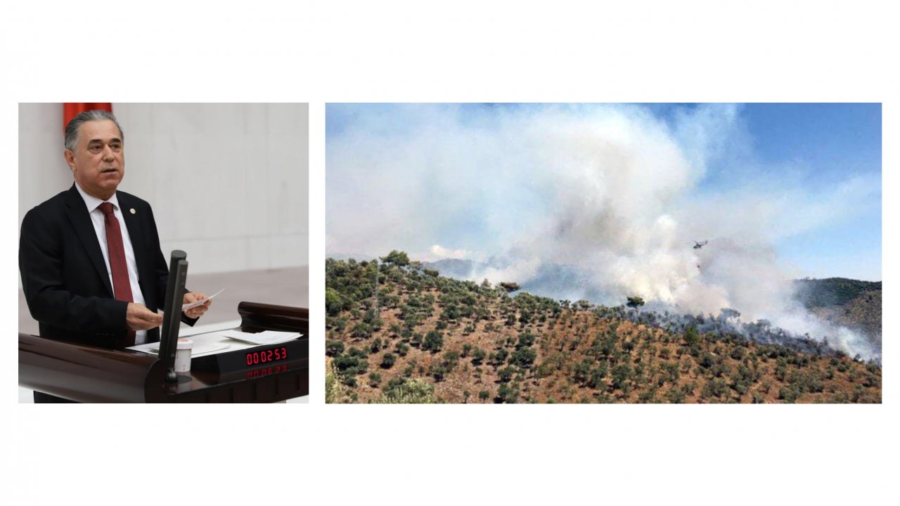 Milletvekili Suat Özcan:  “Orman yangıları devam edecek