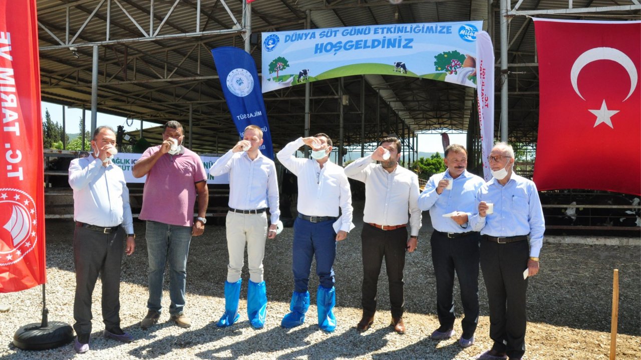 Dünya Süt Gününde sütün önemine dikkat çekildi