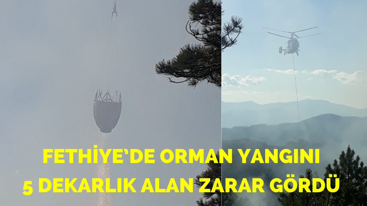 Fethiye’de orman yangını