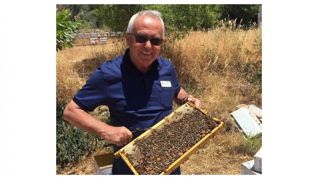 Ziya Şahin, ıslah edilmiş Muğla arısını inceledi