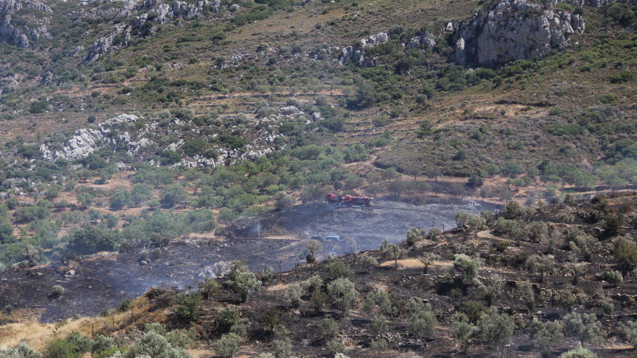 Muğla'da zirai alanda çıkan yangın hava ve karadan müdahaleyle söndürüldü