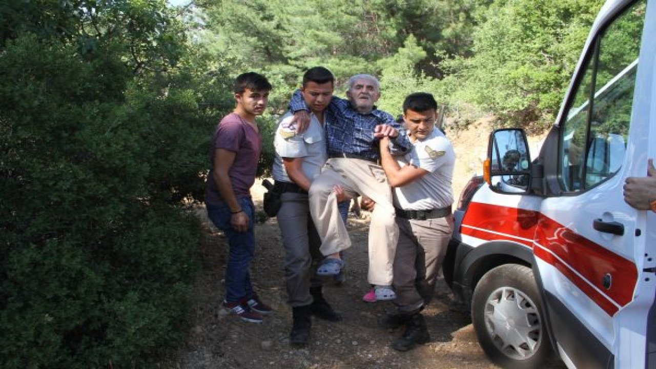 Yaşlı Adam Ormanda Bulundu