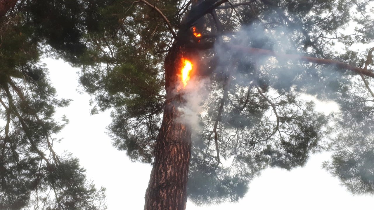 SON 12 GÜNDE 48 YILDIRIM YANGINI