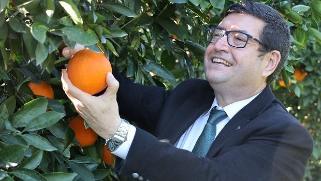 Köyceğiz Portakalı Coğrafi İşaret başvurusu yapıldı