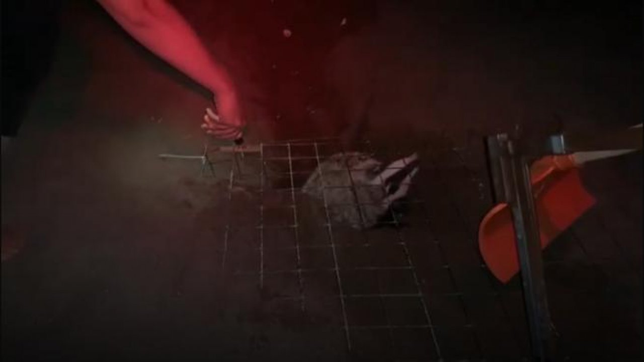 Yuvaya davetsiz misafir