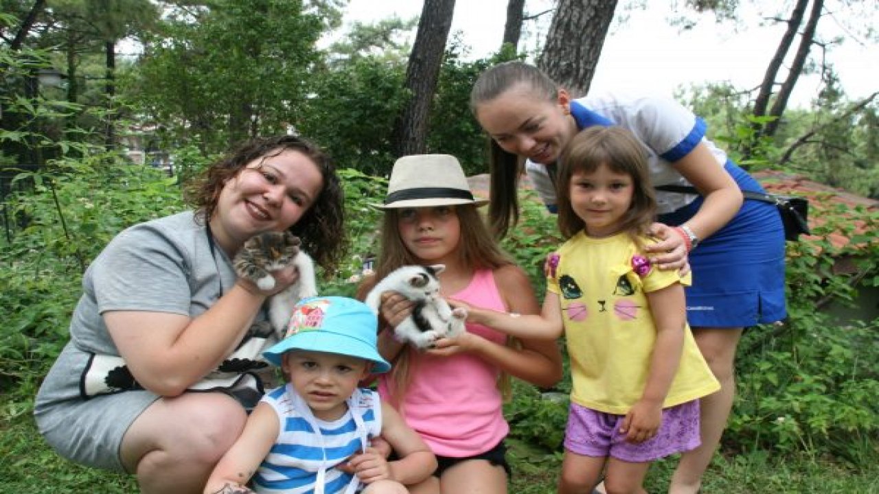 Kediler için 5 yıldızlı kafe