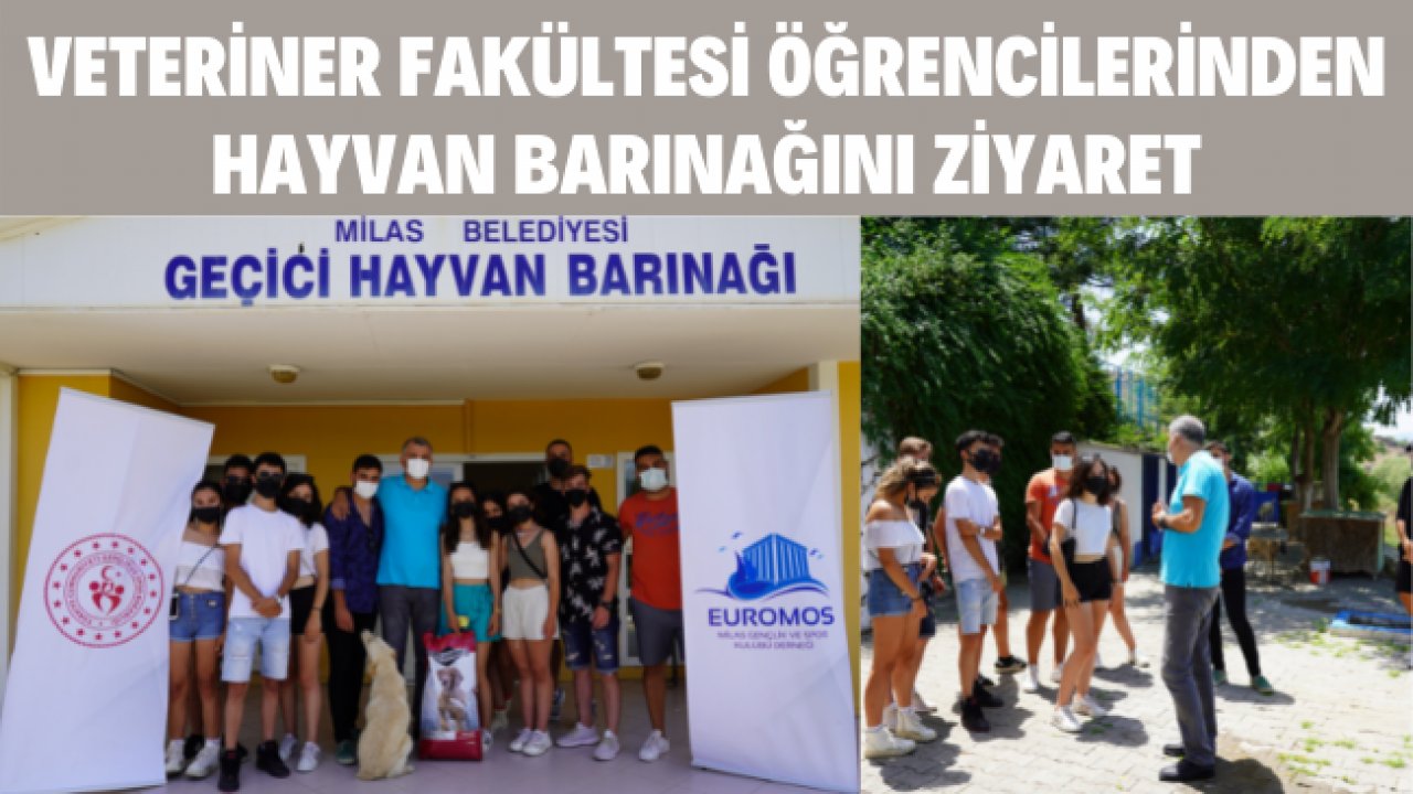 VETERİNER FAKÜLTESİ ÖĞRENCİLERİNDEN HAYVAN BARINAĞINI ZİYARET