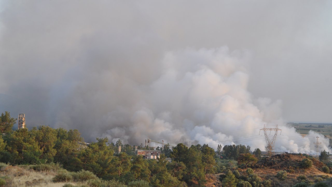 Muğla'da plastik atık deposundan ormana sıçrayan yangın kontrol altına alındı
