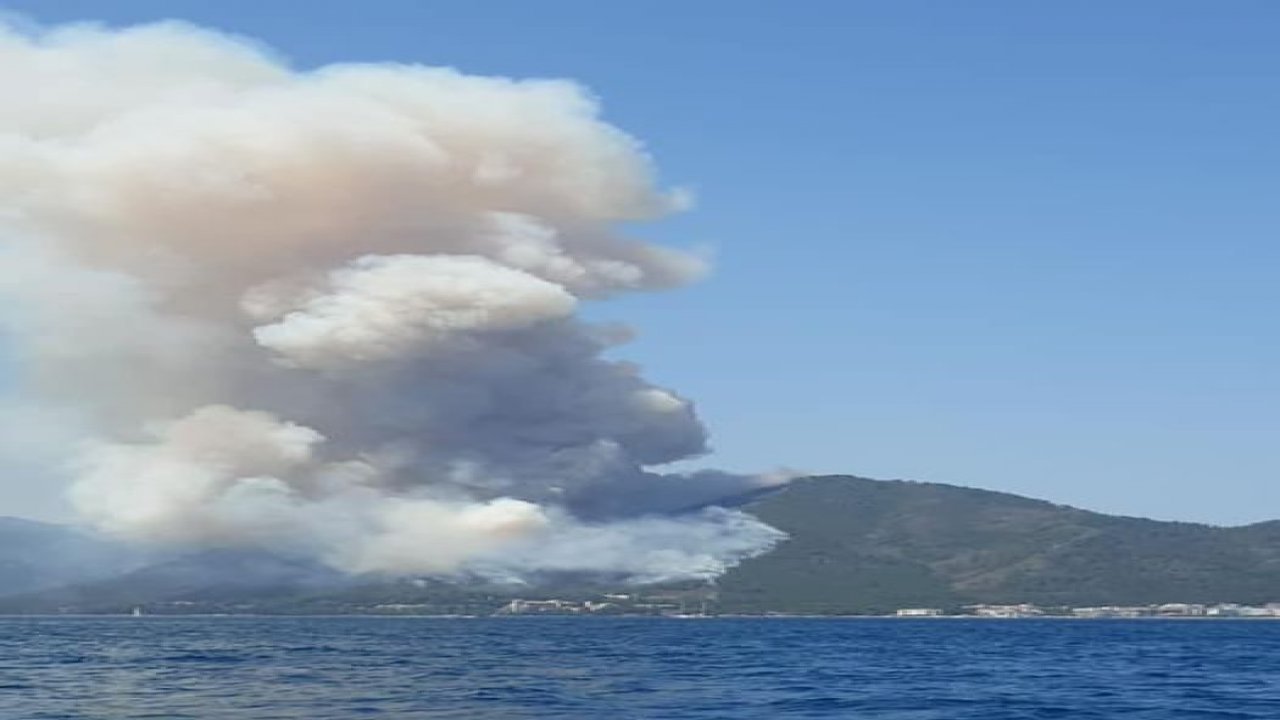 SON DAKİKA - Yangında 1 personel şehit oldu