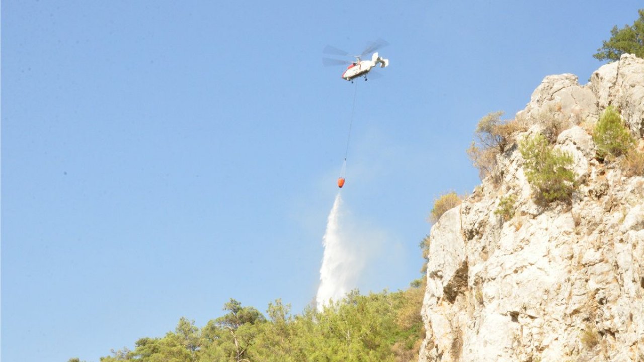 Milas’taki yangın kontrol altına alındı