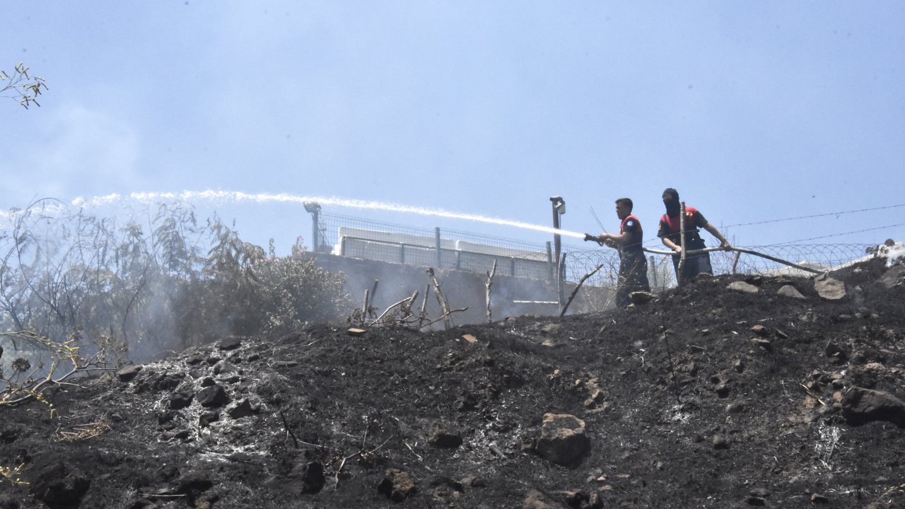 Bodrum'da makilik ve otluk alanda çıkan yangın söndürüldü