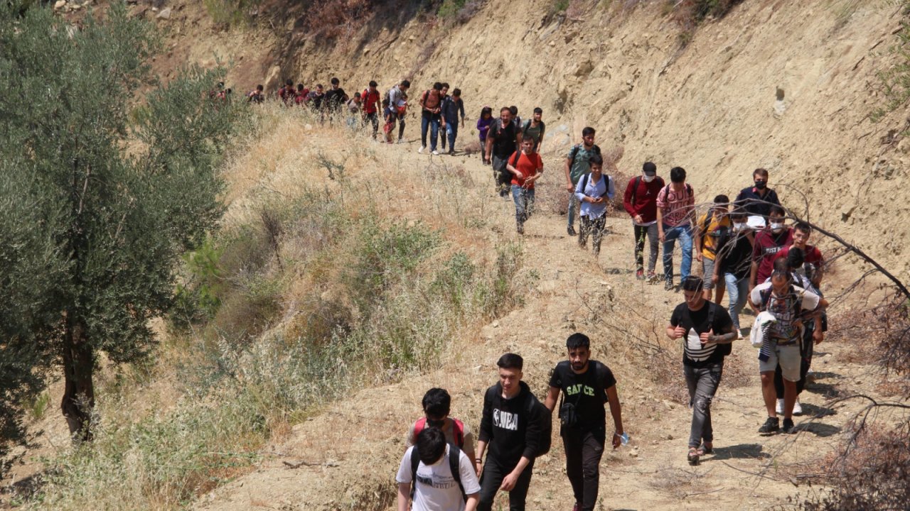 Muğla'da ormanlık alanda 74 düzensiz göçmen yakalandı