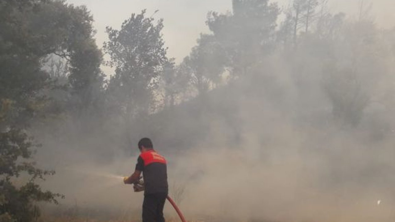 Muğla'da tarım arazisi ve ormanlık alanda yangın çıktı