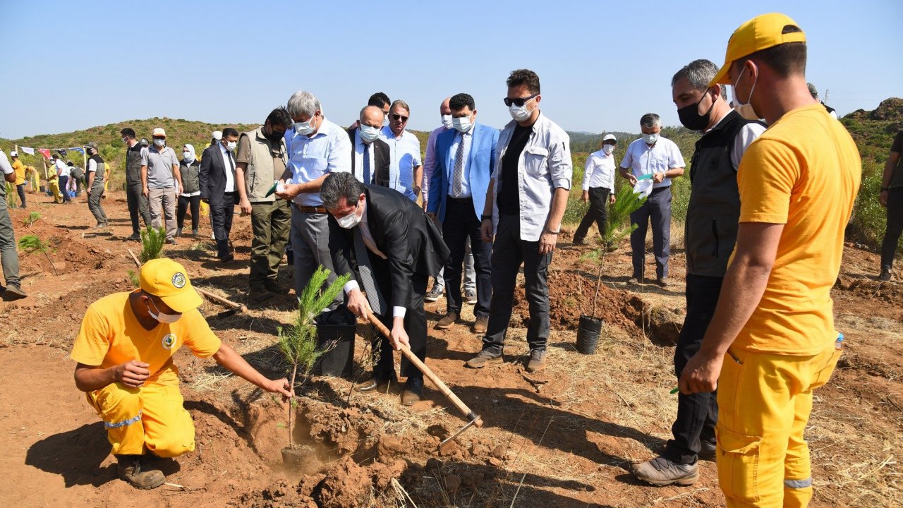 Demokrasi Şehitlerinin anısına fidan dikildi