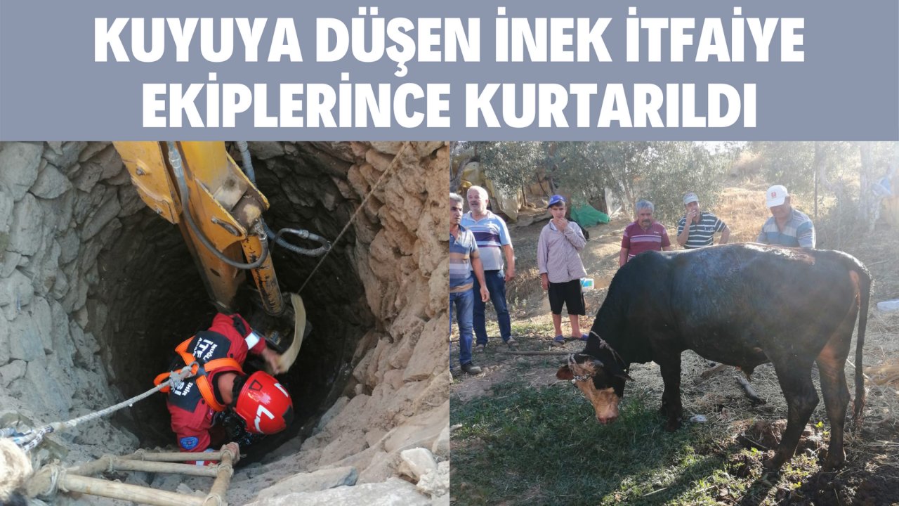 KUYUYA DÜŞEN İNEK İTFAİYE EKİPLERİNCE KURTARILDI