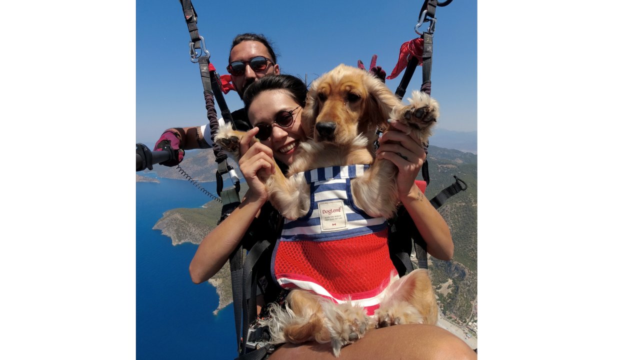 Ölüdeniz'in eşsiz manzarasında köpeği 