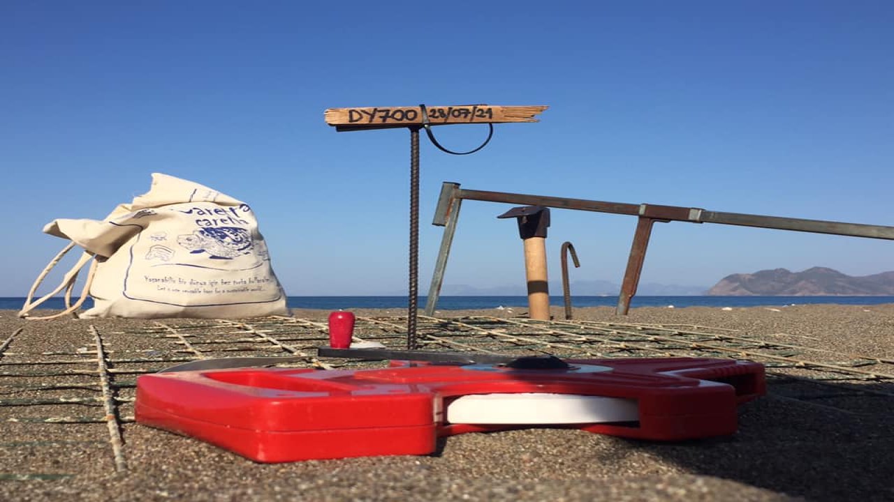 İZTUZU PLAJI'NDAKİ YUVA SAYISI 700’E ULAŞTI