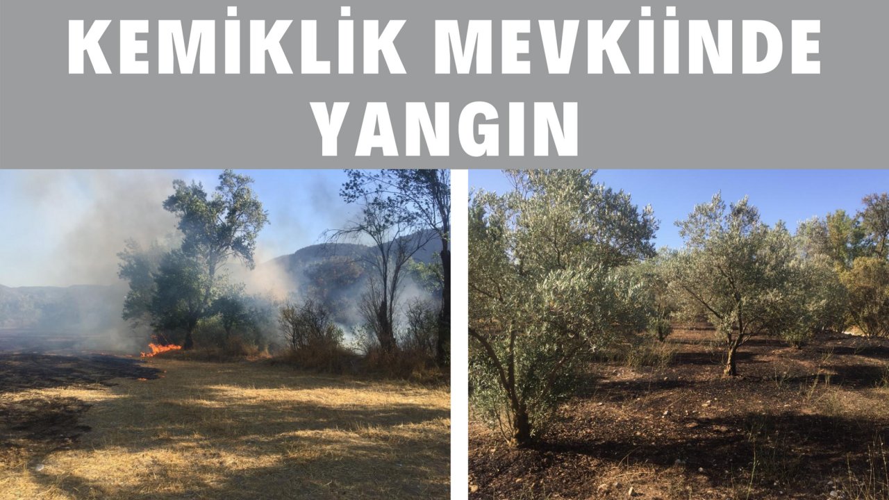 KEMİKLİK MEVKİİNDE YANGIN