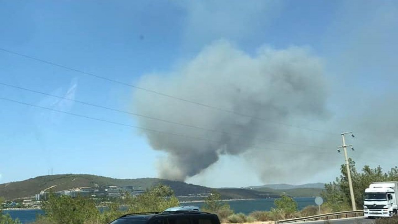 Bodrum ve Didim'de de orman yangınları çıktı
