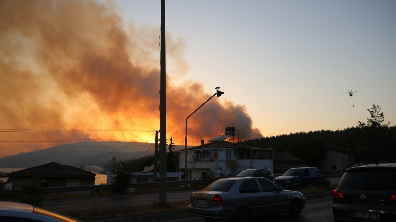 MİLAS'TA YANGIN KONTROL ALTINA ALINMAYA ÇALIŞILIYOR
