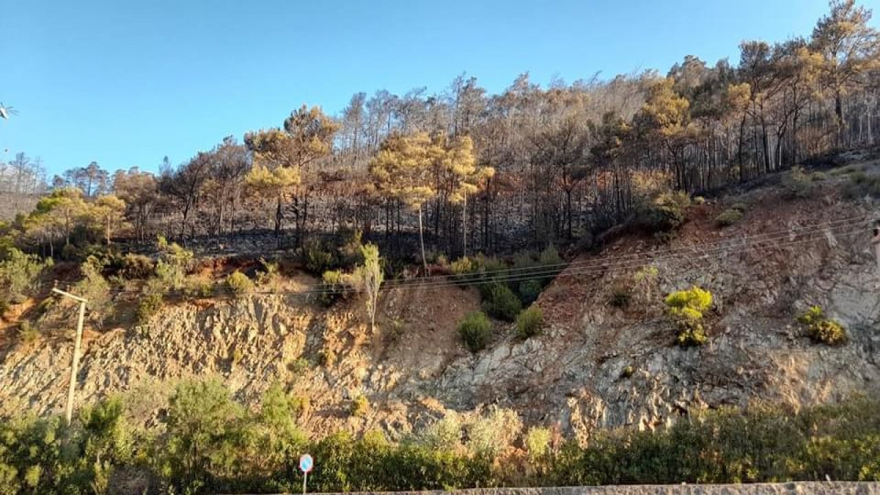 ALEVLER CENNETİ SARDI