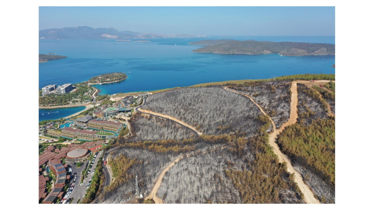 ZARAR GÖREN 80 HEKTARLIK ORMANLIK ALAN HAVADAN GÖRÜNTÜLENDİ