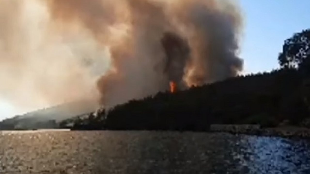 Başkan Kocadon’dan yangınlar hakkında açıklama