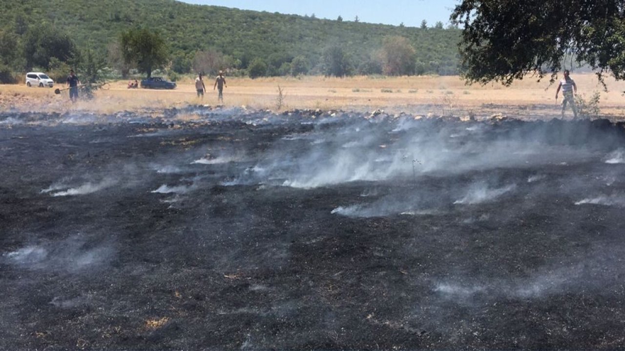 Doğanköy’de yangında 2 dönümlük alan zarar gördü